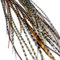 Extensiones de pelo de plumas reales + anillos/lazo - Auburn Naturals (5 Plumas)