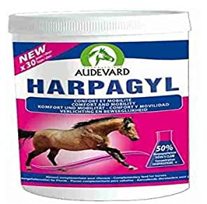 LABORATOIRES AUDEVARD 920-1597 Harpagyl 450G Audevard
