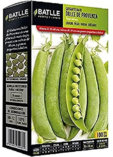 Semi Batlle – pisello odoroso