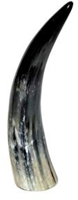 Noble Vaca Cuerno 20 - 90 cm Toro Cuernos Pulido Cuerno trofeo Caza + Brillibrum Flyer, 21cm - 30cm