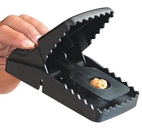 Trapper T-Rex Rat Trap