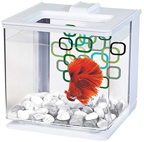 Marina Aquarium pour Aquariophilie Betta EZ Care Blanc