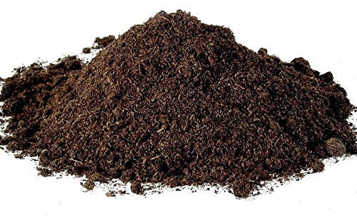 Anzuchterde/Aussaaterde 10 Liter 62003