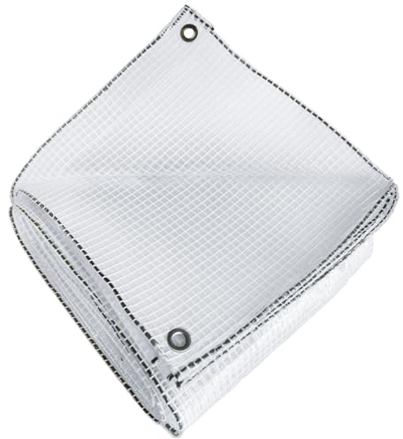TECPLAST Bâche Transparente Armée 4x6 m - TR170MU - Bâche de Protection - Haute Qualité – Imperméable - Résistance Anti-UV