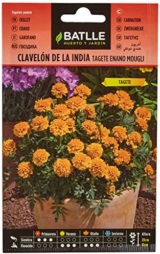 Semillas Batlle Garofano Indiano MOUGLI