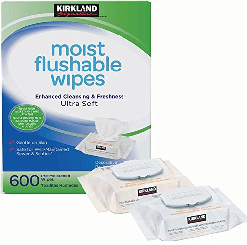Kirkland Signature Moist Flushable Wipes 10 x 60 Pre-moistened Wipes for the Entire Family