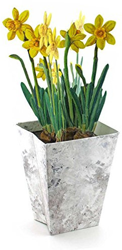 OSTERGLOCKEN Pop-Up Karte: Eine gefaltete 3D-Karte mit Narzissen im Blumentopf - eine schöne Grusskarte im Frühling