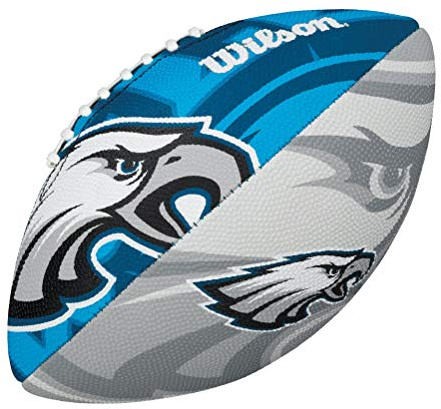 Wilson Unisex-Youth NFL JR TEAM LOGO FB PH American Football, JUNIOR