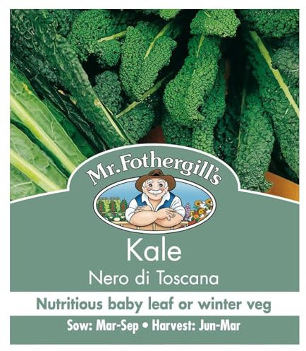 Mr Fothergill's Kale Nero Di Toscana