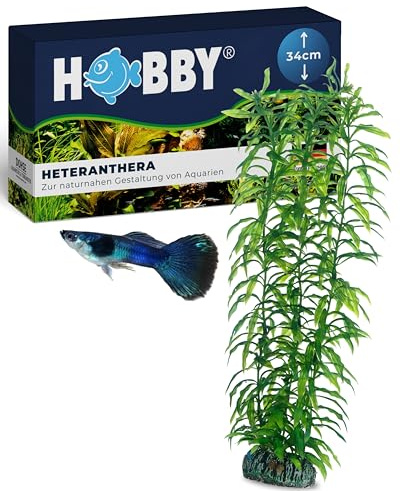 Hobby Aquaristique Heteranthera I 34 cm I Réplique réaliste I Possibilités de cachette et Points d'orientation pour la Formation du Territoire I N'affecte Pas la qualité de l'eau