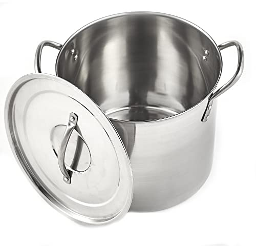 IMUSA USA Stainless Steel Stock Pot 20-Quart, Silver