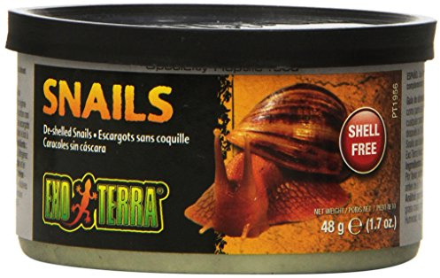 Exo Terra Specialty Reptile Food - Canned Unshelled Snails for Reptiles - Nutrient-Rich, Softened Exoskeleton for Easy Digestion - No Live Insects Needed - Convenient, Ready-to-Serve Meal