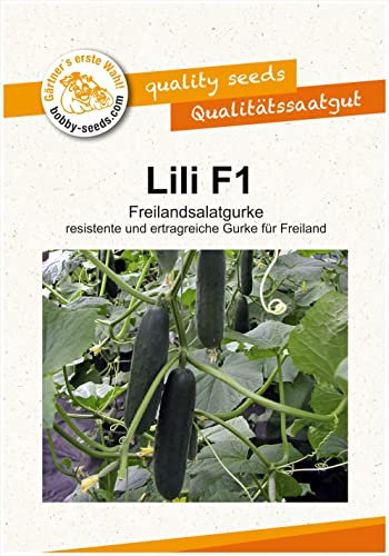 Gurkensamen Lili F1 Freilandgurke Portion