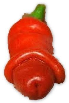 Chili Peter Pepper Red - piment - 10 graines