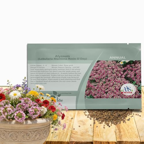 Outsidepride Rosie O'Day Alyssum Seeds - 10000 Pcs Annual, Self-Seeding, Drought Resistant Ground Cover Seeds w/Fragrant Rose Pink Blooms, Flowering Plant for Beds, Borders, & Pathways (AAS Winner)