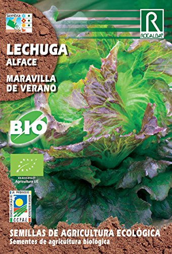 Semillas ECOLOGICAS Lechuga Maravilla
