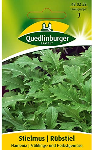 Rübstiel, Stielmus, Namenia, ca. 80 Samen