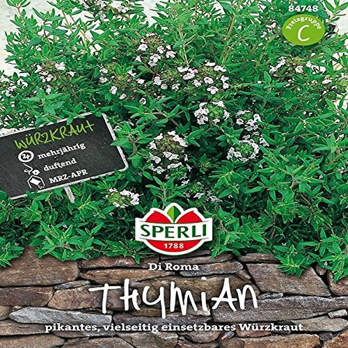 Sperli Gemüsesamen Thymian Di Roma, grün