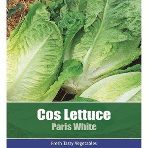De Ree Cos Lettuce Paris White Vegetable Plant 750 Seeds