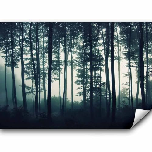 murando - Vlies Fototapete Wald 400x280 cm - Foto Tapete Schlafzimmer Wohnzimmer Moderne Vliestapete XXL Wandtapete Motivtapeten Bildtapete 3d Effekt Wand Dekoration - Wald Natur Nebel c-B-0223-a-a