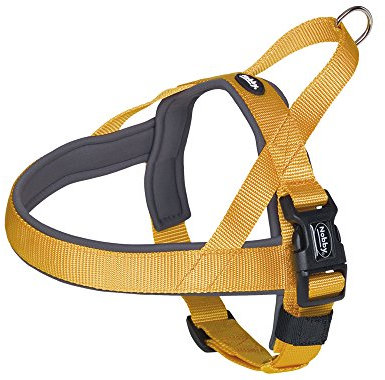 Nobby Norwegergeschirr Classic Preno, orange / grau L: 68-85 cm + 54 cm, B: 40/45 mm, 1 Stück