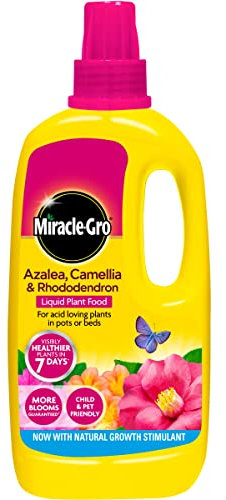 Miracle Gro Azalea, Camellia & Rhododendron Liquid Plant Food 1L (531660)