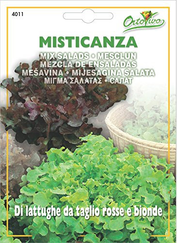 Hortus 39MST4011 Maxi Busta Ortovivo Misticanza di Lattughe da Taglio, Rosso e Biondo, 12x0.2x16.5 cm