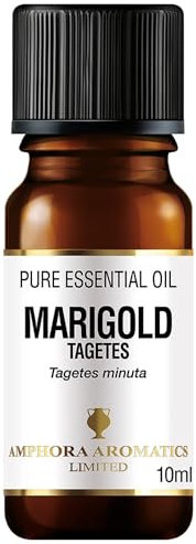 Amphora Aromatics Marigold Tagetes Essential Oil 10ml