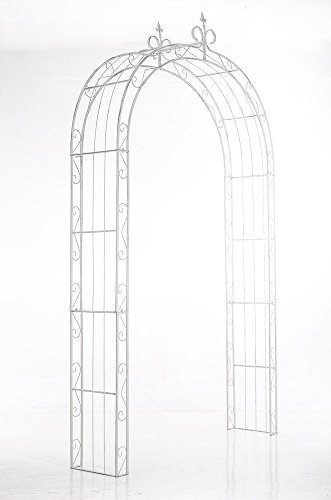 CLP Arche à Rosiers Sun - Arcade de Jardin en Fer Forgé - Support pour Plantes Grimpantes - Arceau de Jardin Treillis de Jardin, Couleur:Blanc Antique