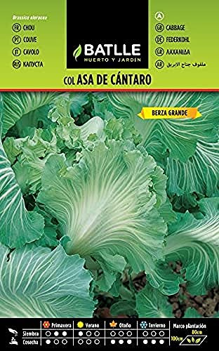 Semillas Batlle Col ASA DE CANTARO