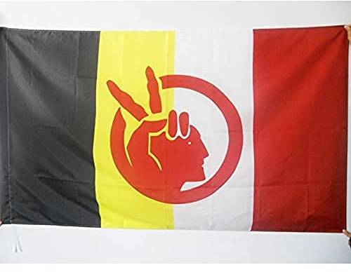 BANDIERA MOVIMENTO DEI NATIVI AMERICANI 90x60cm - BANDIERA AMERICAN INDIAN MOVEMENT - INDIANO 60 x 90 cm foro per asta - AZ FLAG