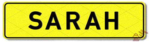 Geprägtes Namensschild zum Selbstgestalten ✓ Witterungsbeständig ✓ Vielfarbig ✓ Ideale Geschenkidee | Individuelles Nummernschild, Aluminium-Schild | Autoschild mit Namen & Spruch selbst gestalten