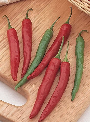 JustSeed - Pepper (Chilli) - Chiang Rai - 15 Seeds