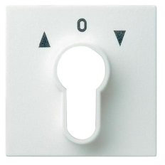 Gira 066403 Abdeckung Schlüsselschalter System 55, reinweiß