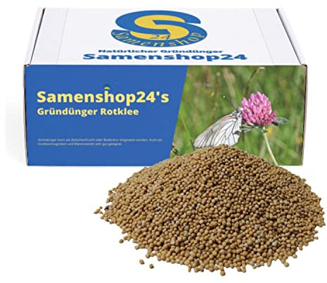 Rotklee (Gründünger), Inhalt 1kg für 280m², Stickstoffsammler, wertvolle Futterpflanze für Bienen, Hummeln, Schmetterlinge, Nützlinge