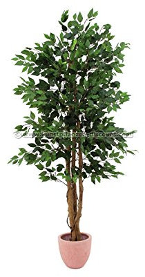 Utgång Ficus Benjamina, 2 naturstammar 756 blad, höjd 150 cm – konstgjorda benjamin, konstgjorda träd, konstgjorda växter