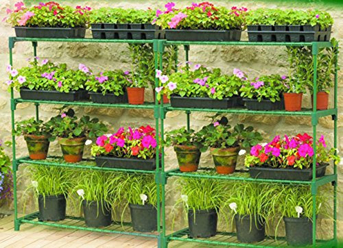 Panana 4-Tire Garden Greenhouse Staging Storage Shelving-Double Pack