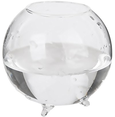 Generic Glas Hydroponischen Mini Vase Kugel Mikro Landschaft DIY Flasche Terrarien Fisch Behälter 8cm