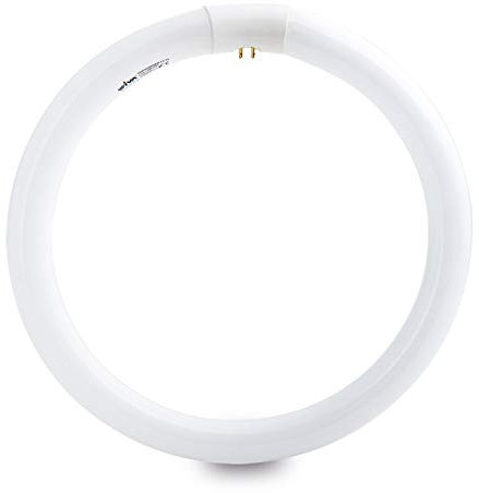 Wiva Group Trifosforo 40W 40W G10q Bianco lampada fluorescente
