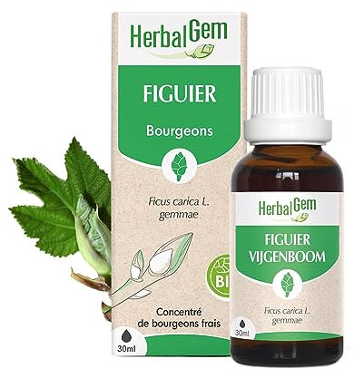 HERBALGEM - Macérât-Mère - Figuier Bio - Complément Alimentaire Gemmothérapie Concentrée - Extrait De Bourgeon Frais - Pour Digestion - Vegan - 30 ml