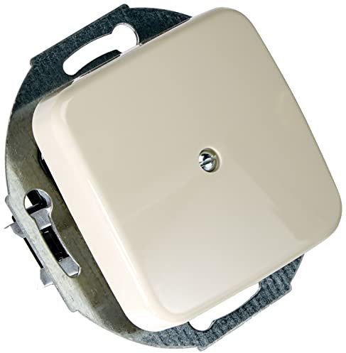 Busch-Jaeger 2527-212 Zentralscheibe mit Tragring Blindabdeckung (Duroplast) Cremeweiß Busch-Duro 2000 SI 2CKA001710A0623