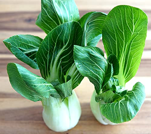 Pak Choi White Stem - Kohl - 500 Samen