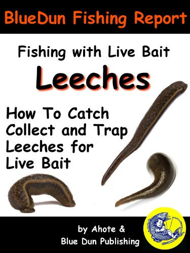 Fishing With Live Bait: Leeches How To Catch Collect and Trap Leeches For Live Bait (BlueDun Fishing Report Fishing With Live Bait)