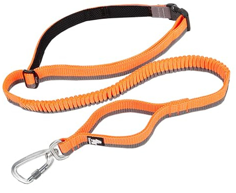 TRUE LOVE Longue Laisse de Chien élastique Mains Libres Ajustable Absorbant Les Chocs TLL2271 (Orange, L)