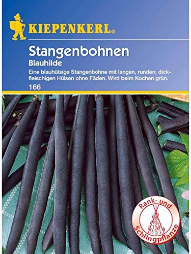 Bohne Blauhilde / Stangenbohnen