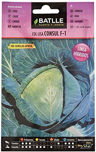 Semillas Batlle Col Consul F-1