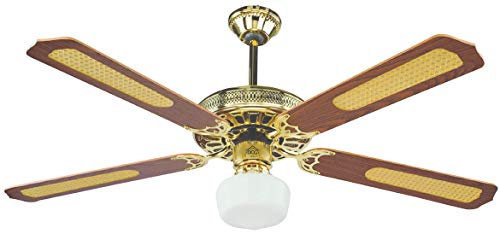 DCG TP-RMA8-6N22 Ventilatore a Soffitto in Legno a Soffitto con Telecomando