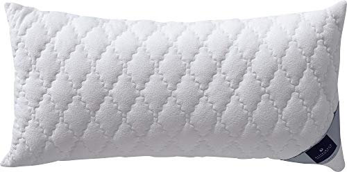 Billerbeck Rosshaar-Kissen | Bilind | 40 x 60 cm | Naturkissen | hohe Elastizität | Feste Stützkraft | ohne optische Aufheller