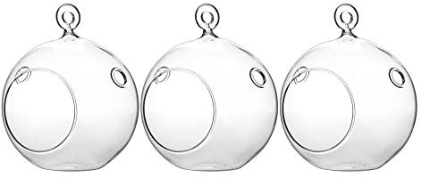 WGV Hanging Terrarium Globe, Width 4, Height 4.75, DIY Air Succulent Planter, Clear Glass Vase Orb with Flat Bottom, Candle Holder for Windowsill Outdoor Garden Decor, 3 Pieces Bulk
