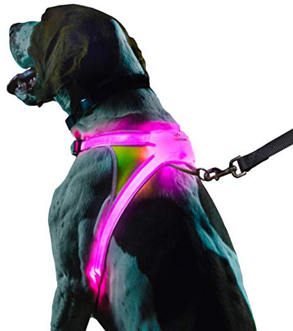 Noxgear LightHound - Revolutionary Illuminated and Reflective Vest for Dogs Including Multicolored LED Fiber Optics (USB Rechargeable, Adjustable, Lightweight, Rainproof) (Medium)